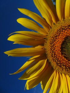 Foto: Mónica Martínez